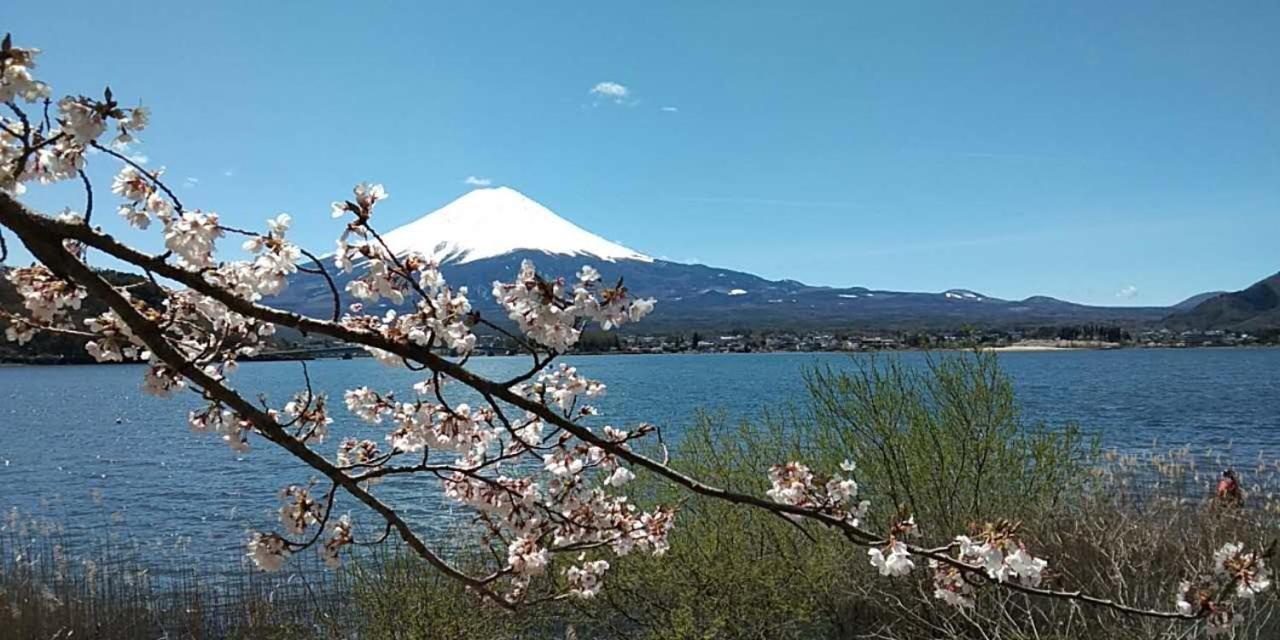 宝栄 Villas Lakeside Fujikawaguchiko Exterior foto